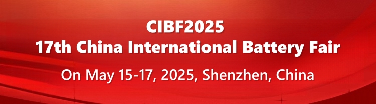 China battery expo